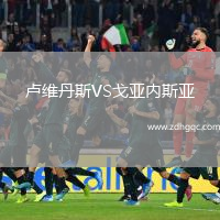 盧維丹斯VS戈亞內(nèi)斯亞