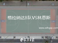 格拉納達(dá)B隊VS林恩斯