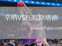 辛納VS托瓦斯塔德