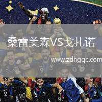 桑雷美森VS戈扎諾