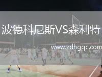 波德科尼斯VS森利特