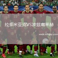 拉多米亞克VS波茲南萊赫