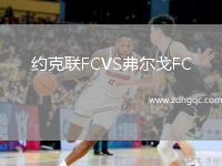 約克聯(lián)FCVS弗爾戈FC
