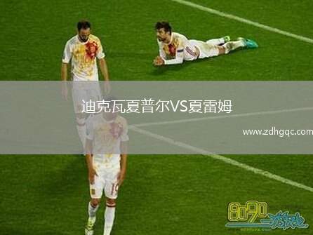 迪克瓦夏普爾VS夏雷姆