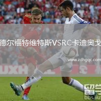 德爾福特維特斯VSRC卡迪奧戈