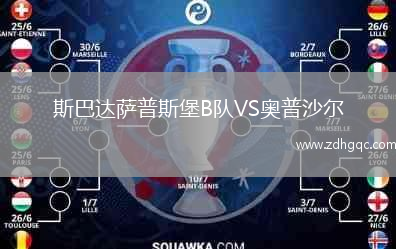 斯巴達(dá)薩普斯堡B隊(duì)VS奧普沙爾