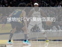 堪培拉FCVS莫納洛黑豹
