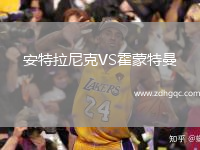 安特拉尼克VS霍蒙特曼