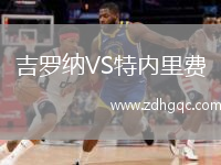 吉羅納VS特內(nèi)里費(fèi)