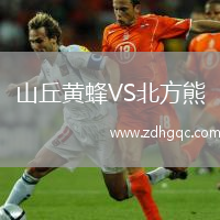 山丘黃蜂VS北方熊