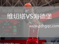 維切塔VS海德堡
