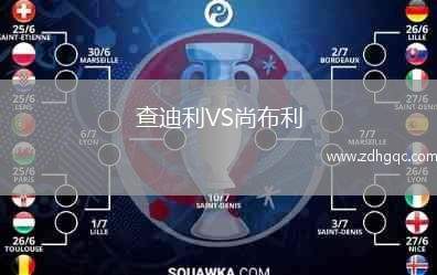 查迪利VS尚布利