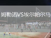 姆勒諾VS埃爾帕爾馬