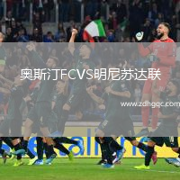 奧斯汀FCVS明尼蘇達(dá)聯(lián)
