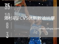 洛杉磯FCVS休斯敦迪納摩