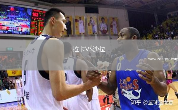 拉卡VS沙拉