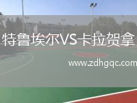 特魯埃爾VS卡拉賀拿