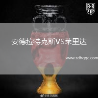 安德拉特克斯VS萊里達
