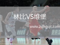 林比VS維堡