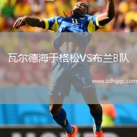 瓦爾德海于格松VS布蘭B隊(duì)