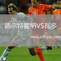 德爾特霍納VS瓦多