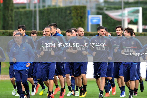 加爾維納VSUSD卡斯特蘭澤