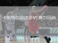 卡斯特爾菲達多VS費爾瑪納