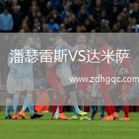 潘瑟雷斯VS達(dá)米薩