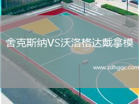 舍克斯納VS沃洛格達(dá)戴拿模