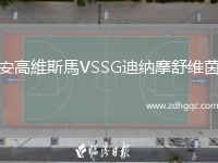 安高維斯馬VSSG迪納摩舒維茵