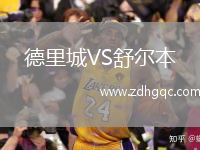德里城VS舒爾本