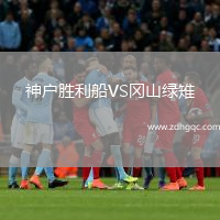 神戶勝利船VS岡山綠雉