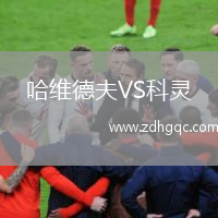 哈維德夫VS科靈