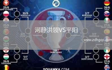 河靜洪領(lǐng)VS平陽(yáng)