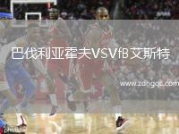 巴伐利亞霍夫VSVfB艾斯特