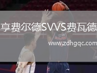 亨費(fèi)爾德SVVS費(fèi)瓦德