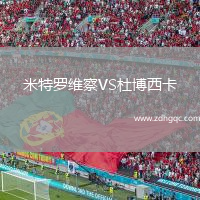 米特羅維察VS杜博西卡