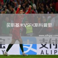 貝斯基米VSFK斯科普里