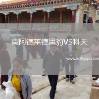 南阿德萊德黑豹VS科夫