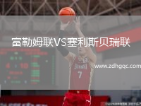 富勒姆聯(lián)VS塞利斯貝瑞聯(lián)