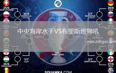 中央海岸水手VS布里斯班獅吼