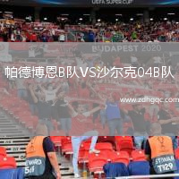 帕德博恩B隊VS沙爾克04B隊