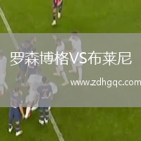 羅森博格VS布萊尼
