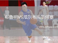 布魯明VS瓜爾韋托圣何塞