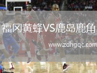 福岡黃蜂VS鹿島鹿角