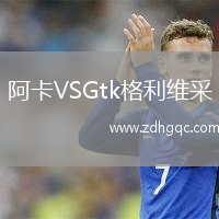 阿卡VSGtk格利維采