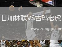 甘加林聯(lián)VS古瑪老虎