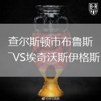 查爾斯頓市布魯斯VS埃奇沃斯伊格斯