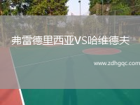 弗雷德里西亞VS哈維德夫