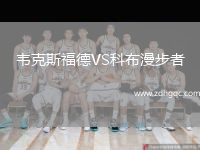 韋克斯福德VS科布漫步者